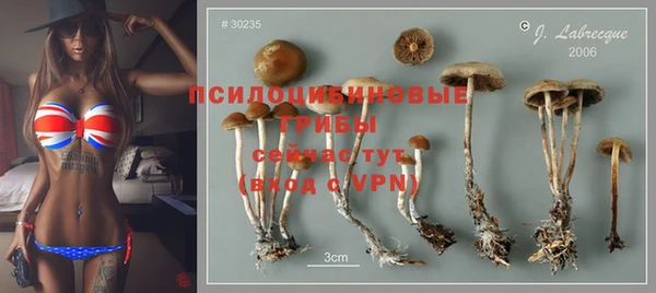 спиды Вязьма