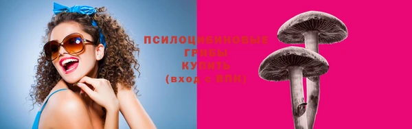 марки lsd Вяземский