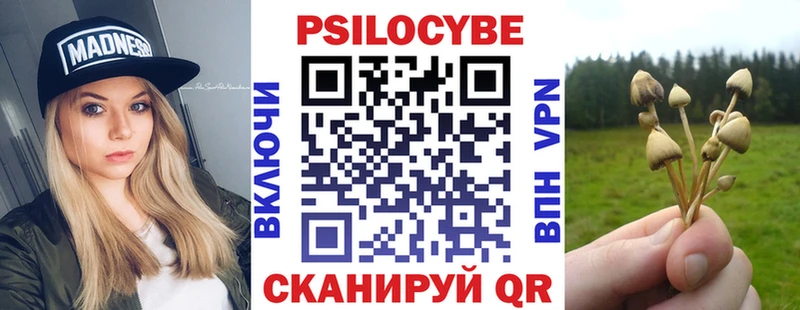 Галлюциногенные грибы прущие грибы  Купить закладки  Бодайбо 